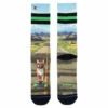 Chaussettes Homme SKATING DOG -WACOAL Boutique chaussettes homme skating dog