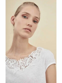 Top Manches Courtes COTON -WACOAL Boutique top manches courtes coton 2